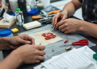 Trousse de dissection : pourquoi 85% des étudiants en bio se plantent au premier achat